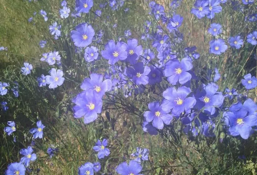 ユースホステル Inn On The Beartooth B&b