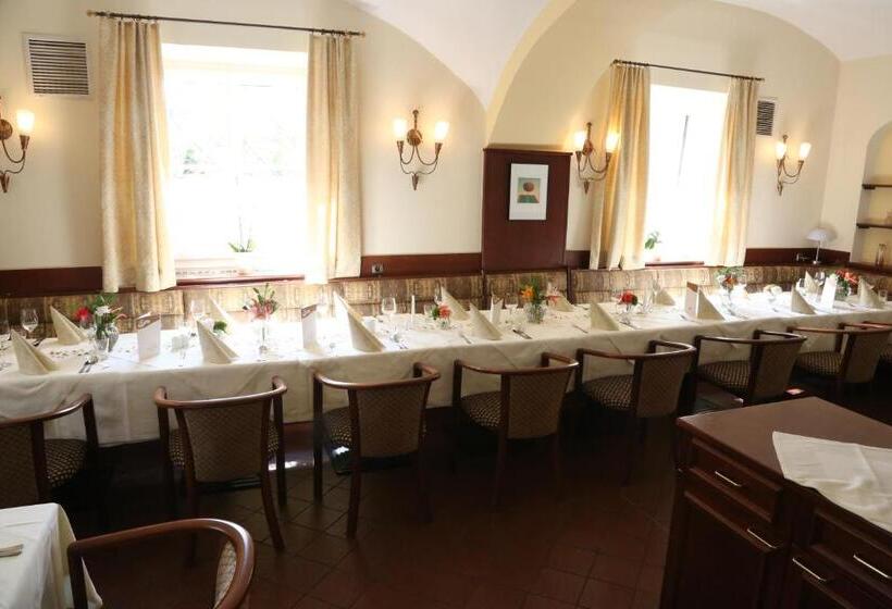 בית מלון כפרי Donau Lodge