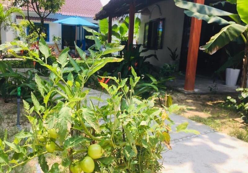 تختخواب و صبحانه Hoi An Blue Seaside Homestay