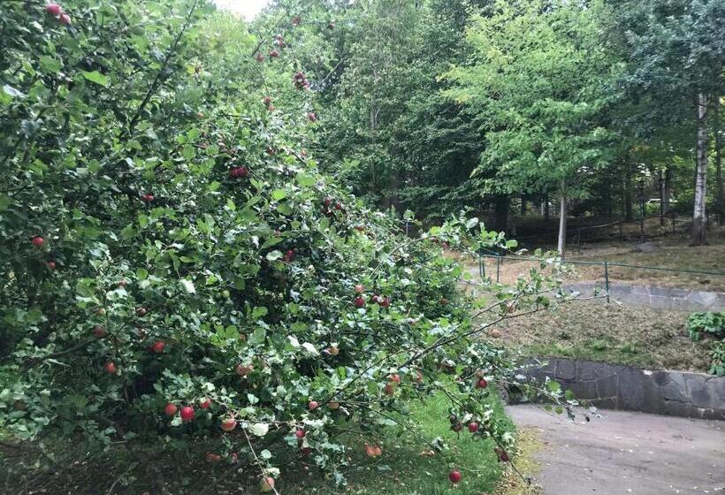 Ewa & Maude Hotel Aston Villa