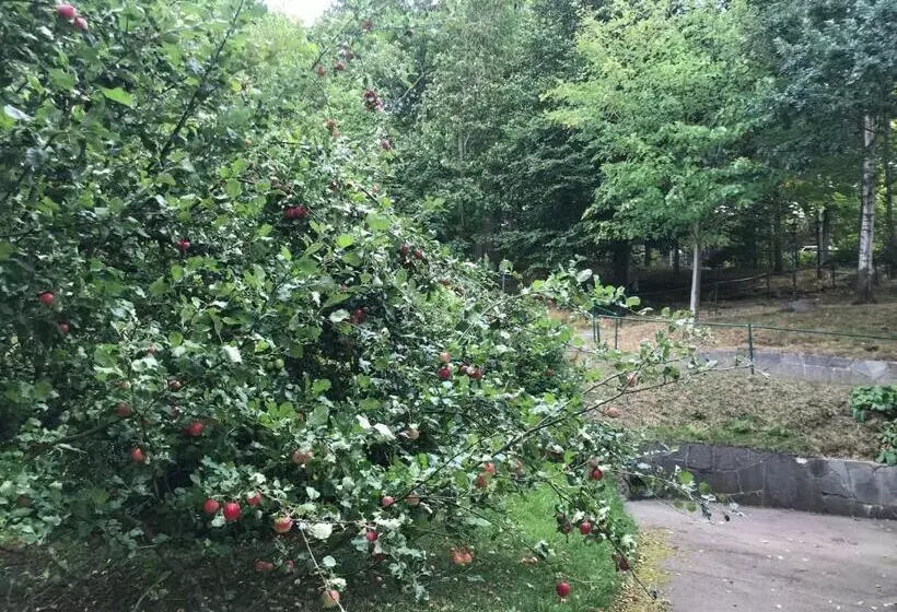 Ewa & Maude Hotel Aston Villa