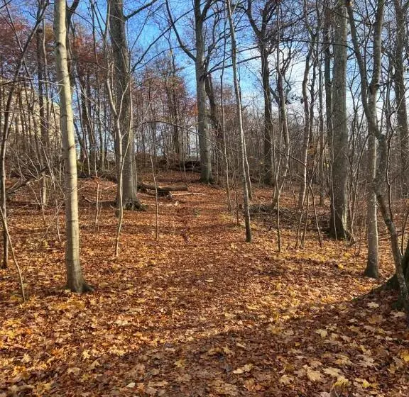 Ewa & Maude Hotel Aston Villa