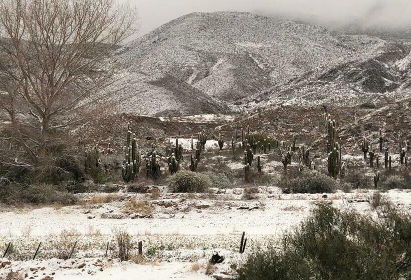 هتل Boutique Urku Wasi