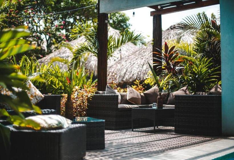 בית מלון כפרי Villa Eden Palomino