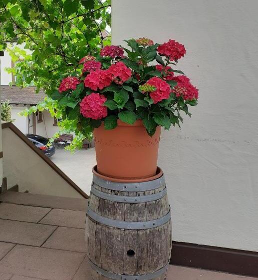 Das Landhotel Weingut Gernert