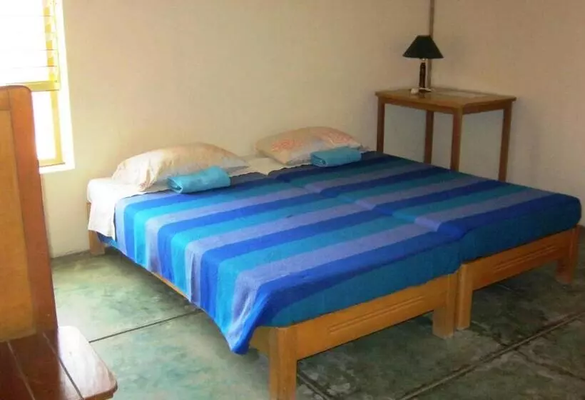 ベッドアンドブレックファースト Huaranjapo