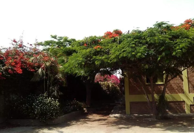 ベッドアンドブレックファースト Huaranjapo