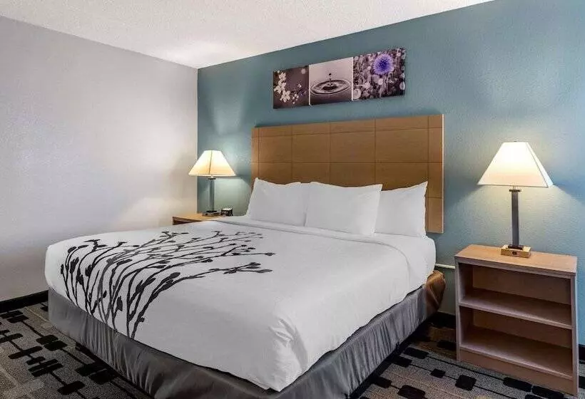 ホテル Sleep Inn Terre Haute University Area