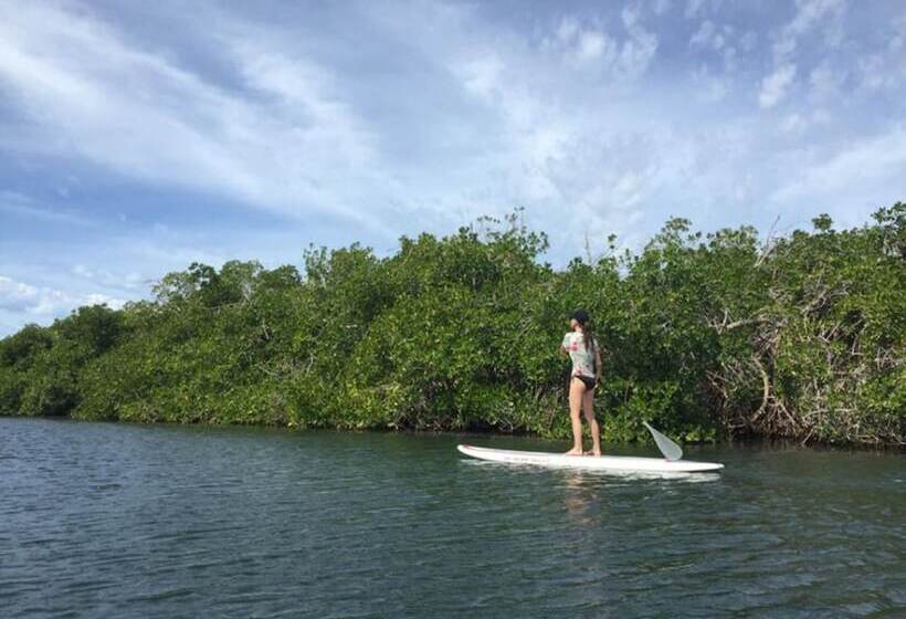 ペンション Casa Mexicana La Reyna