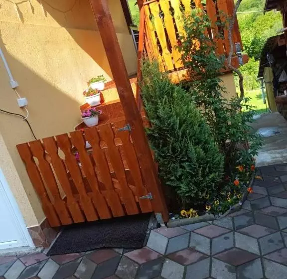 Pensiune Casa Vio