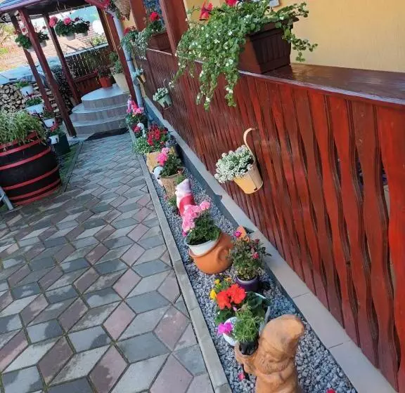 Pensiune Casa Vio