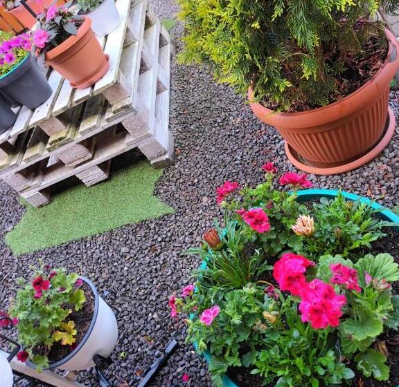 پانسیون Casa Vio