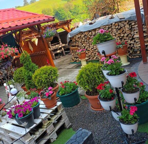 پانسیون Casa Vio