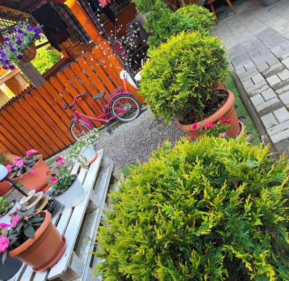 پانسیون Casa Vio