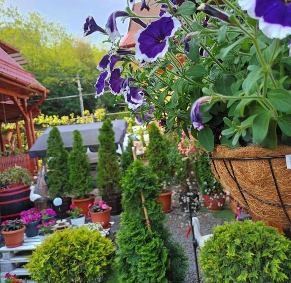 پانسیون Casa Vio