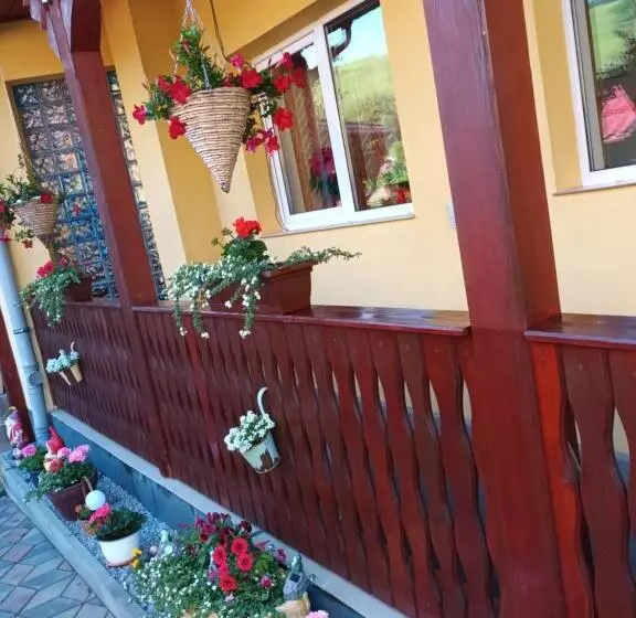 Pensiune Casa Vio