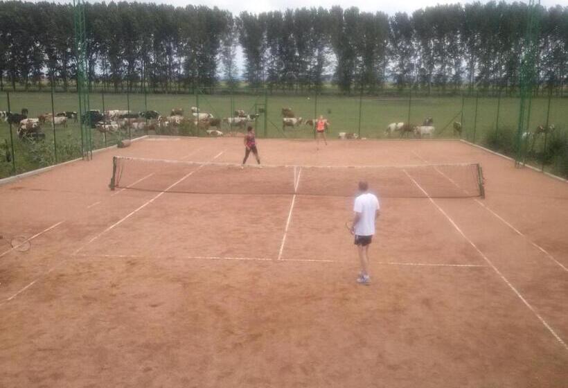 پانسیون Eco Rural Tourism Association Skorenovac