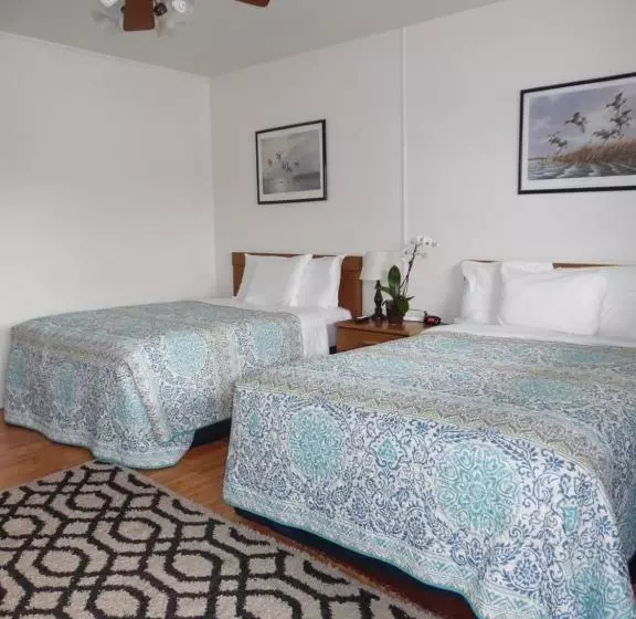 Wachapreague Inn   Motel Rooms