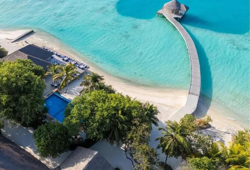 استراحتگاه Eri Maldives   50 Percent Off On Roundtrip Speedboat Valid For Stays Till 25th December 2025