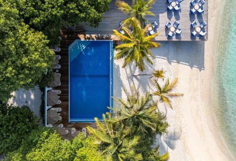 استراحتگاه Eri Maldives   50 Percent Off On Roundtrip Speedboat Valid For Stays Till 25th December 2025