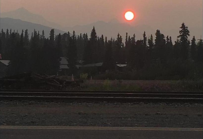 Bed and Breakfast The Runway House