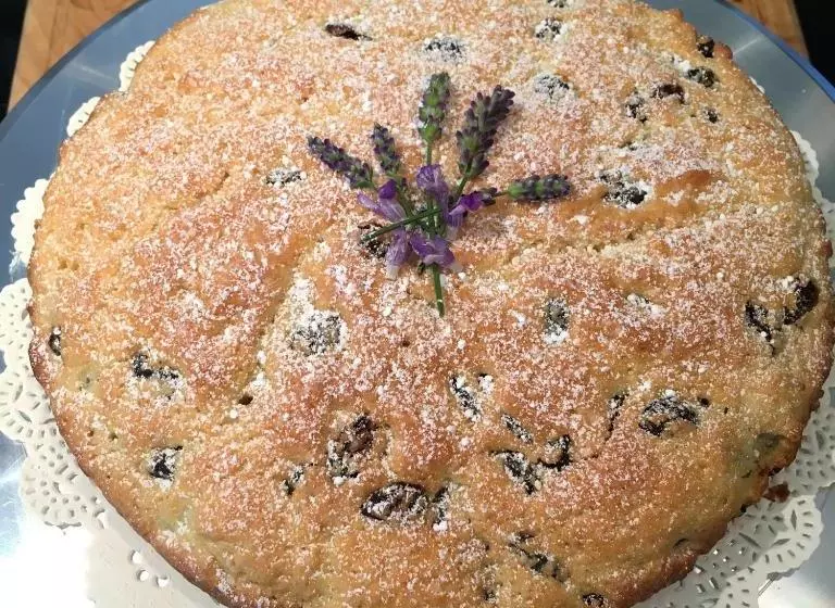 Greenfield Manor B&bthe Cottage