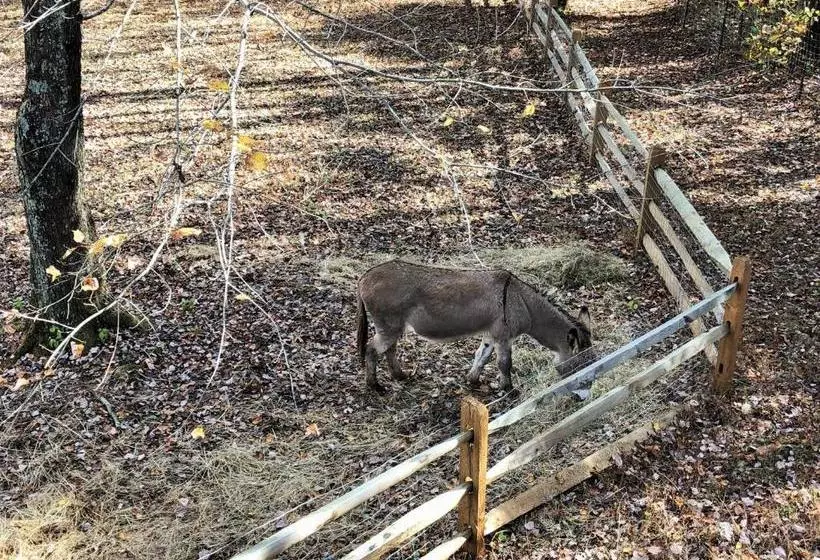 Greenfield Manor B&bthe Cottage