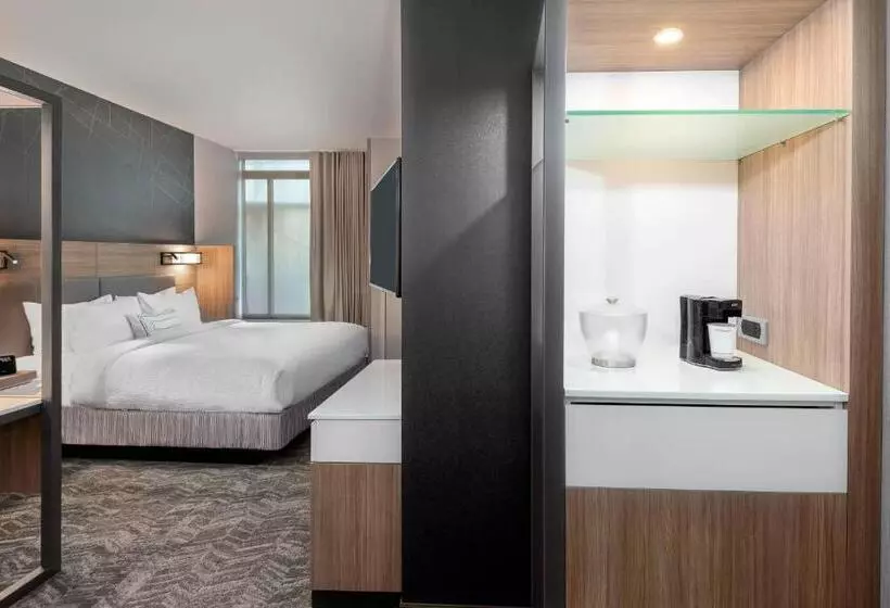 ホテル Springhill Suites By Marriott Indianapolis Westfield