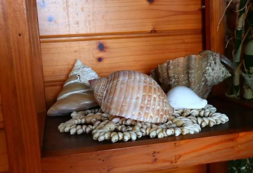 Ryokan Pension Kongo Baru