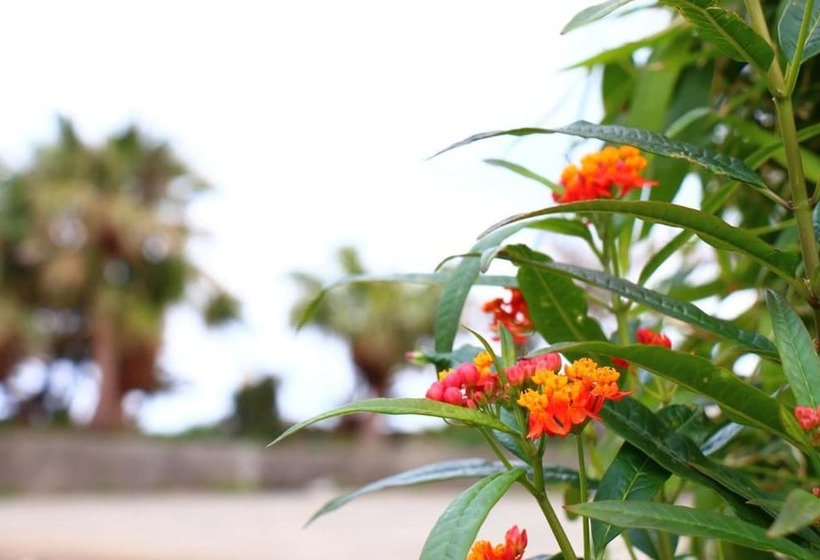 日式旅馆 Pension Kongo Baru