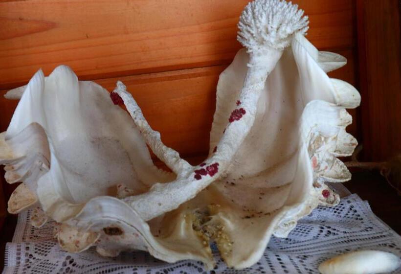 ריוקאן Pension Kongo Baru