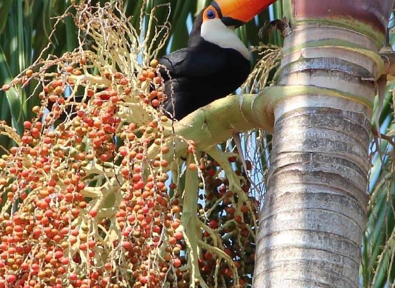 فندق صغير Pousada Chalés Dos Montes