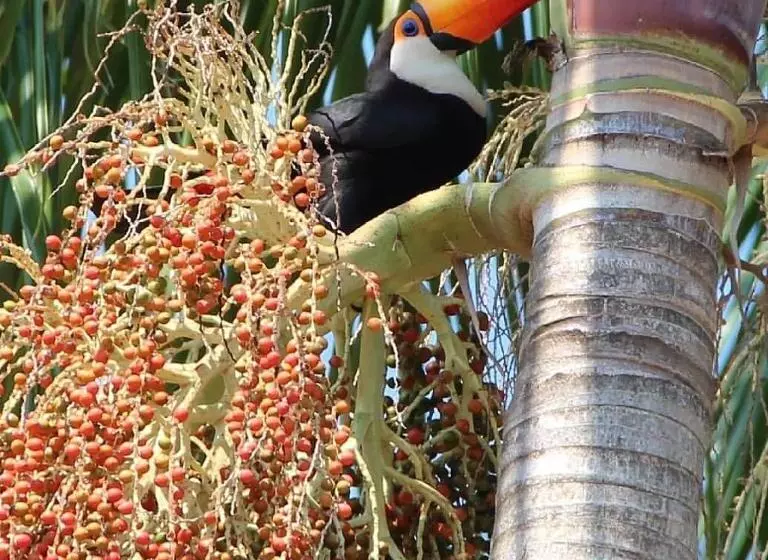 Retkeilymaja Pousada Chalés Dos Montes