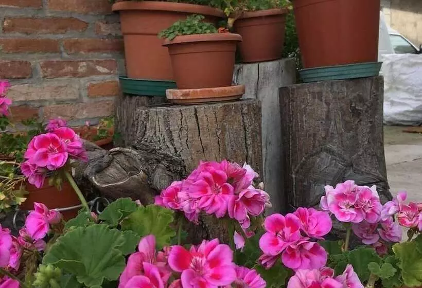 Aamiaismajoitus (B&B) Le Rondini