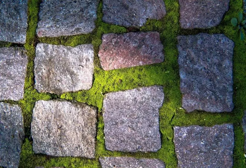 Aamiaismajoitus (B&B) Le Rondini