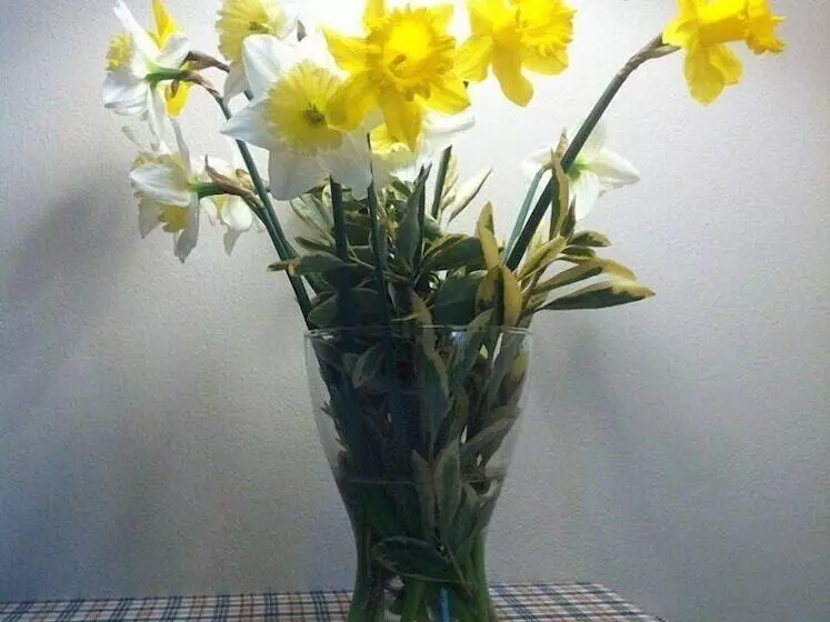 Aamiaismajoitus (B&B) Le Rondini