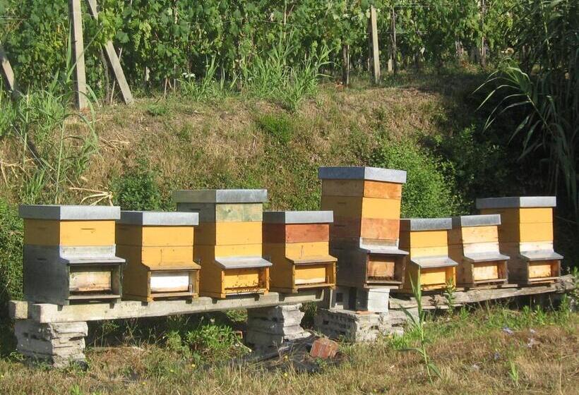 Hotelli La Sarticola