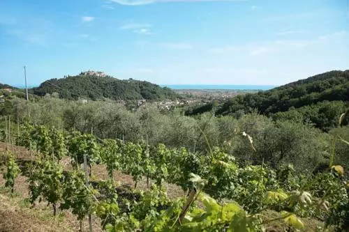 ホテル La Sarticola