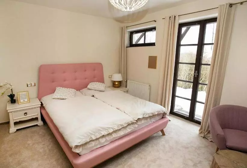 ホテル Resort Mlýn černovice