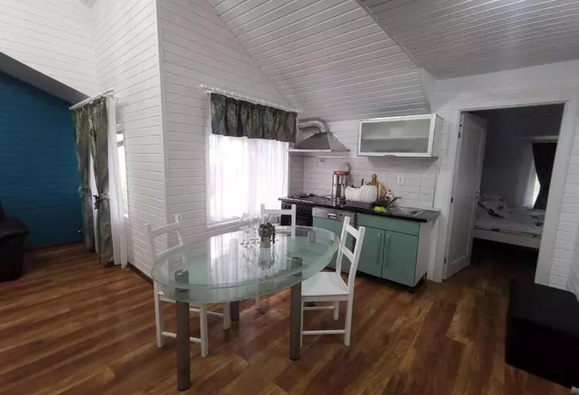 Pensiune Casa Aurora