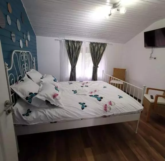 Pensiune Casa Aurora