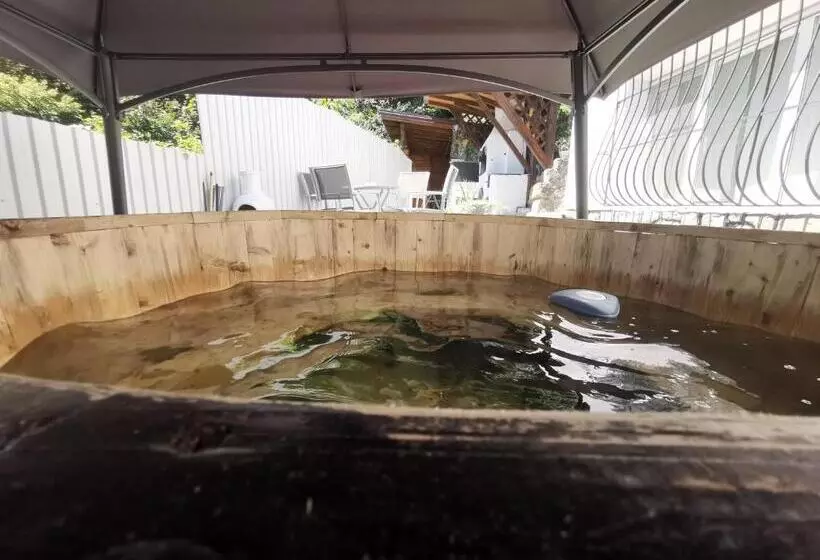 Pensiune Casa Aurora