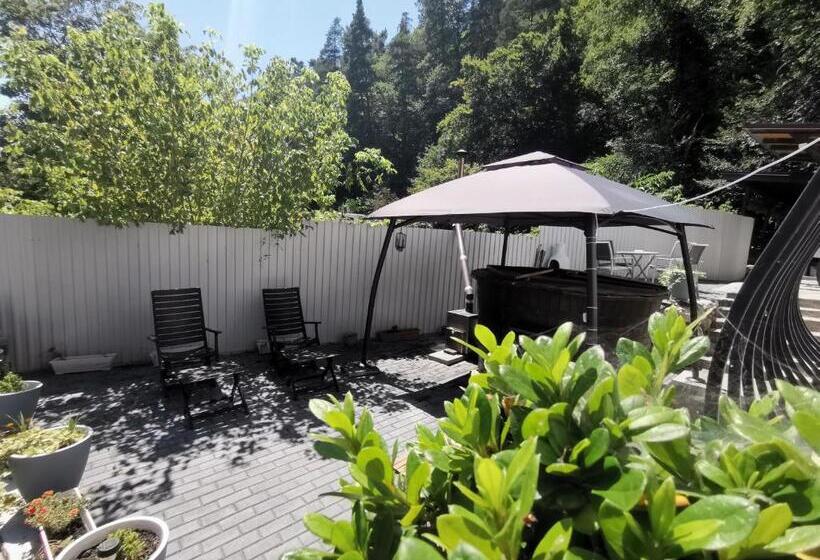 Pansiyon Casa Aurora