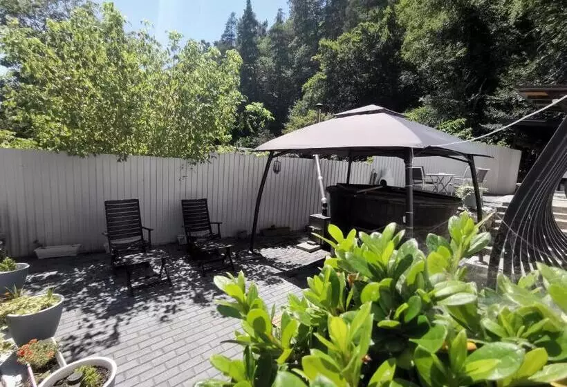 Pensiune Casa Aurora