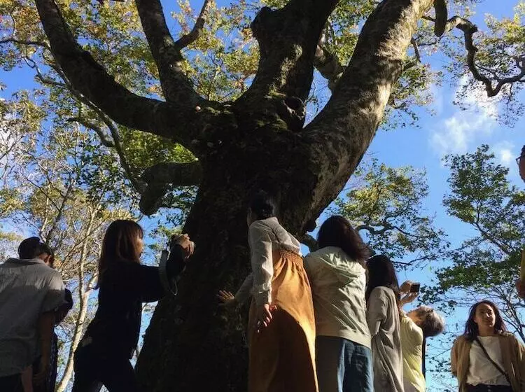 ペンション Okushiri Guesthouse Imacoco   Hostel