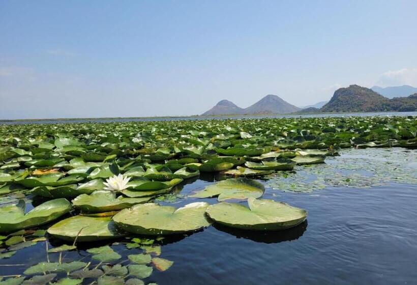 پانسیون Skadar Lake Family Resort