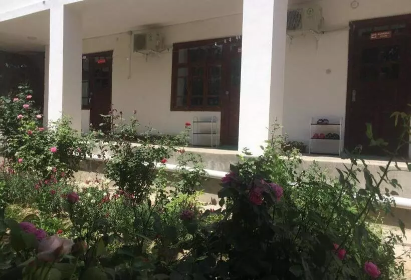 Salom Hostel