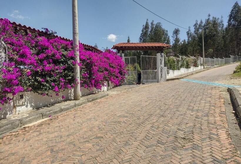 هاستل San Benito