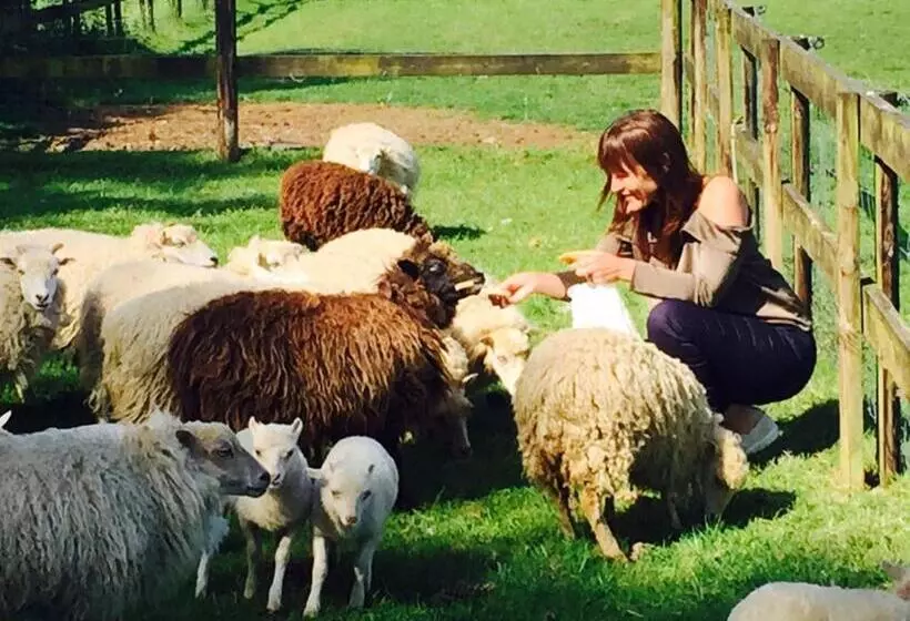 Hof Van Volmersele   Luxury B&b