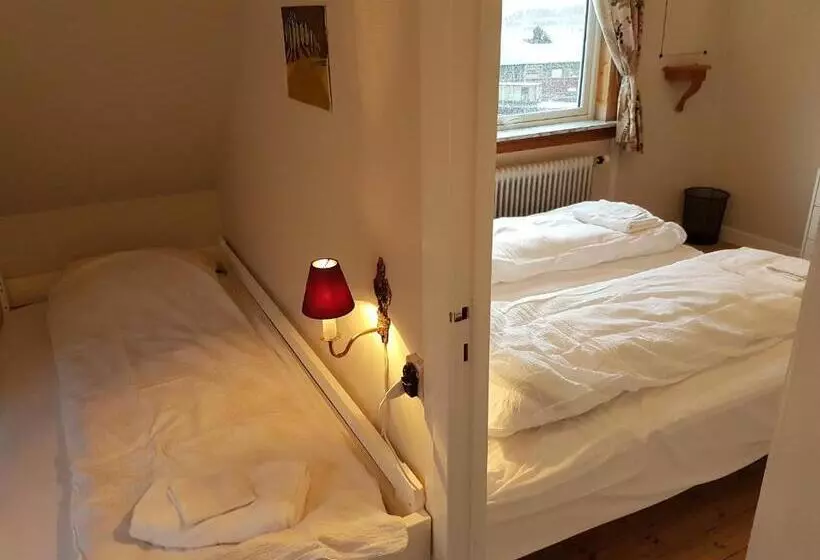 Majatalo Budget Guesthouse Borgustova